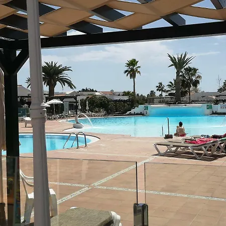 Cool In Canaria
